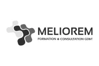 Logo Meliorem petit - noir et blanc