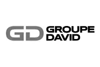 Logo Groupe David petit - noir et blanc