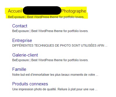 Résultat recherche Google